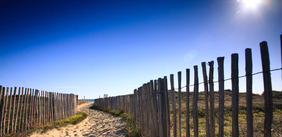 L'Escale Catalane, 50M De La Plage, 36M2, Parking Canet-en-Roussillon Exterior photo